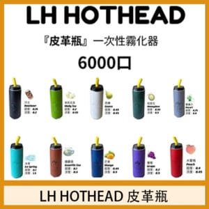 LH HOTHEAD皮革瓶電子煙可充電6000口一次性